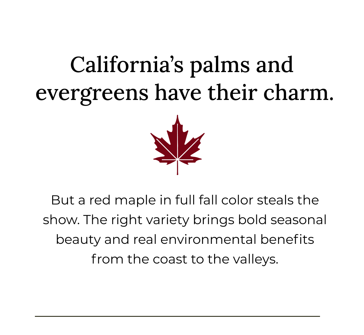 California's palms and evergreens have their charm.