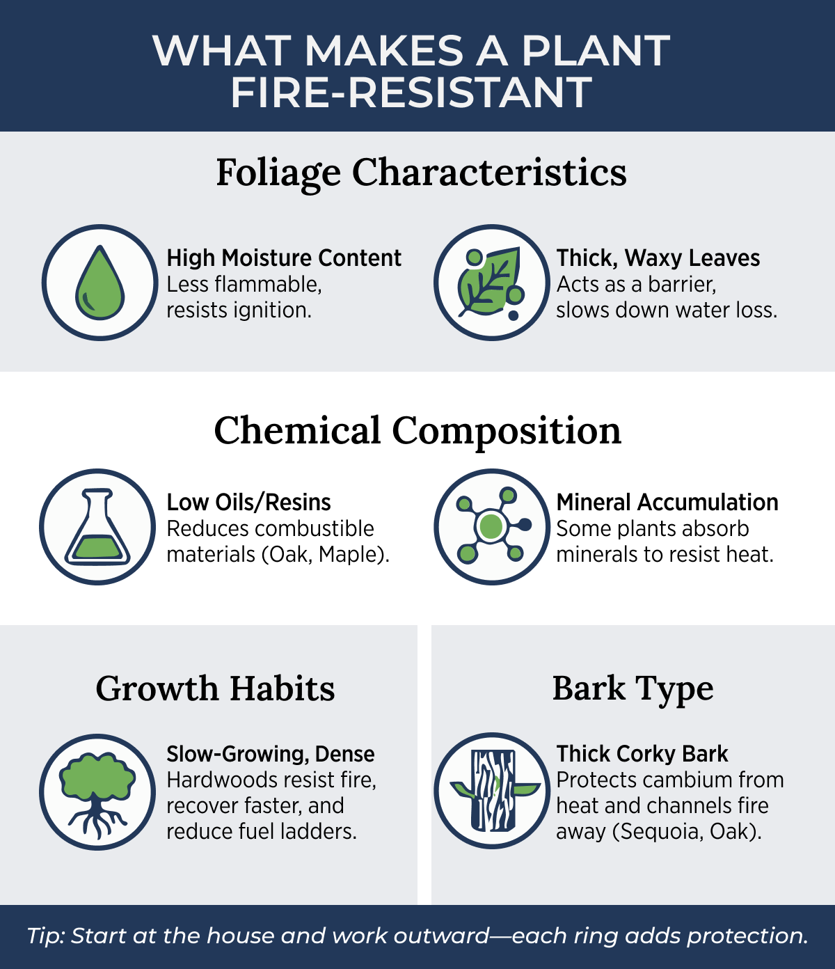 WHAT MAKES A PLANT FIRE-RESISTANT