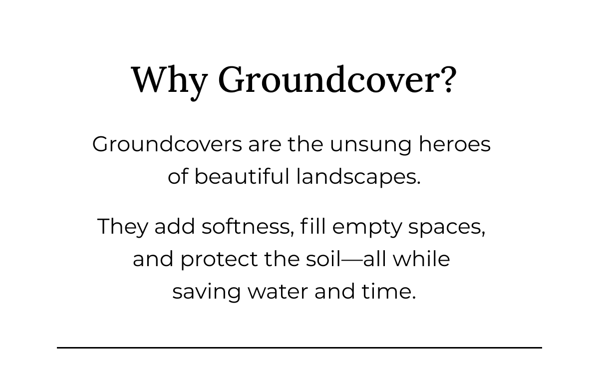 Why Groundcover?