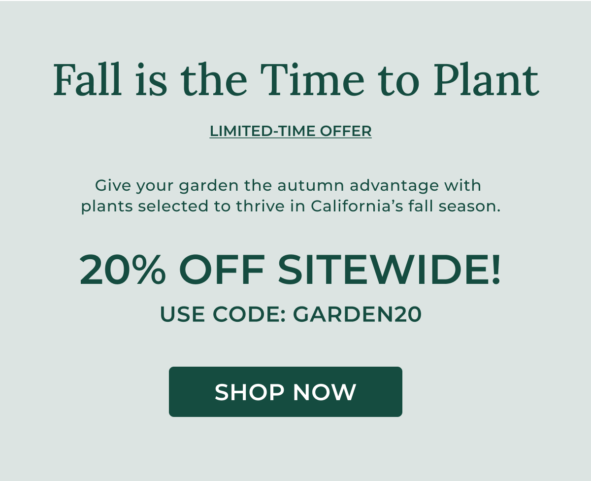 20% OFF SITEWIDE! USE CODE: GARDEN20  SHOP NOW