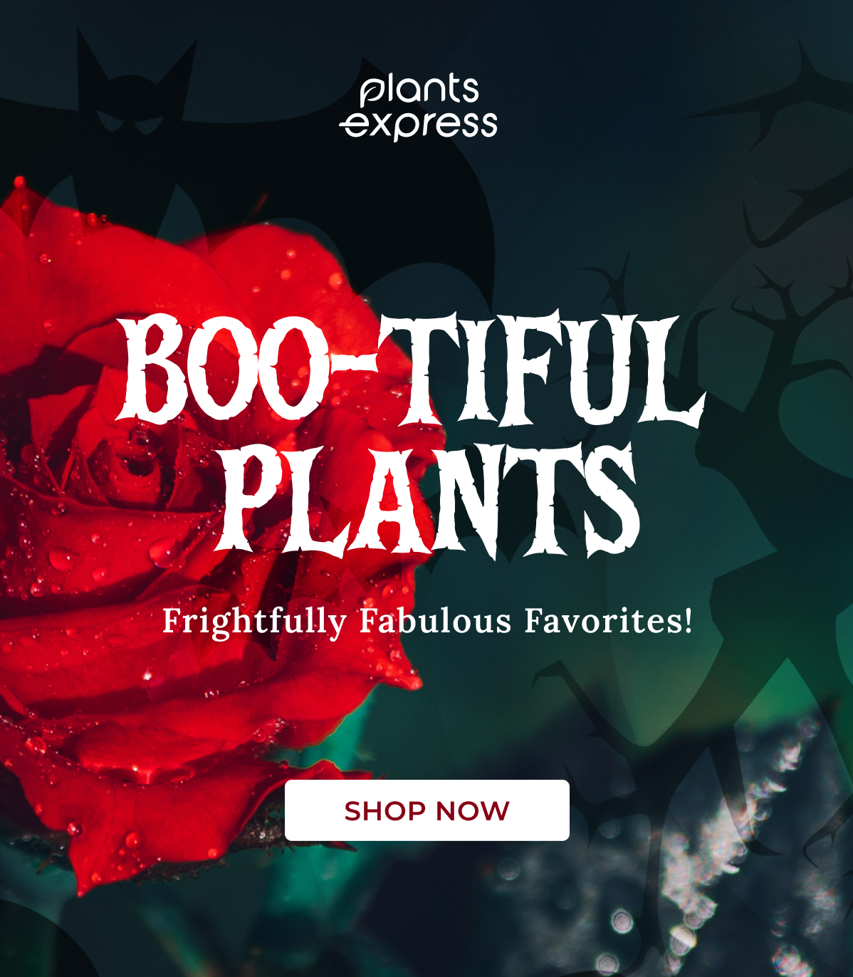 BOO-TIFUL PLANTS Frightfully Fabulous Favorites!