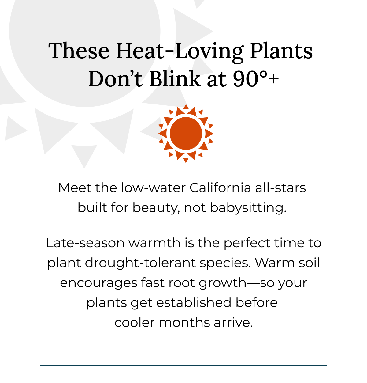These Heat-Loving Plants Don't Blink at 90°+