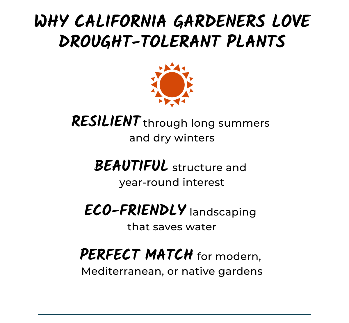 WHY CALIFORNIA GARDENERS LOVE DROUGHT-TOLERANT PLANTS
