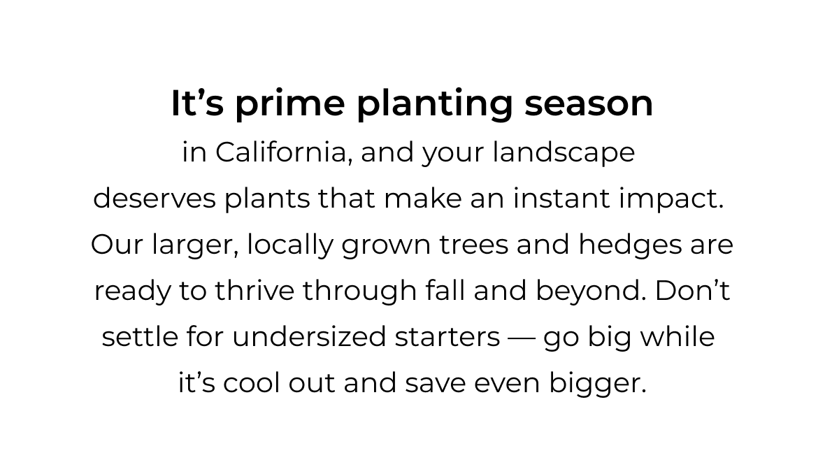It's prime planting season