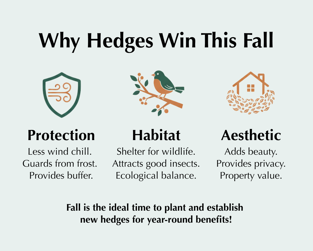 Think fire safety means sacrificing beauty? Think again!