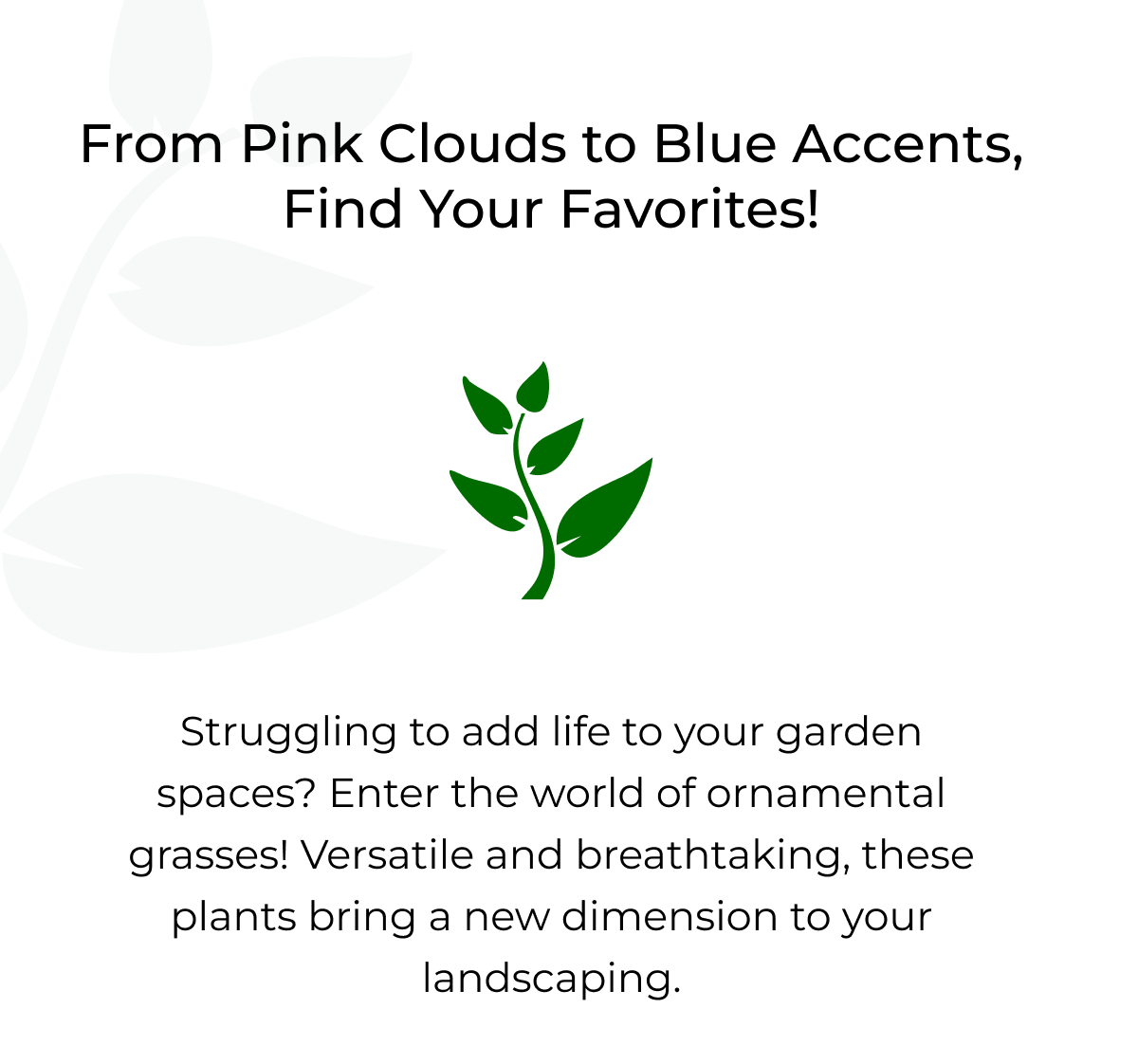 From Pink Clouds to Blue Accents, Find Your Favorites!
