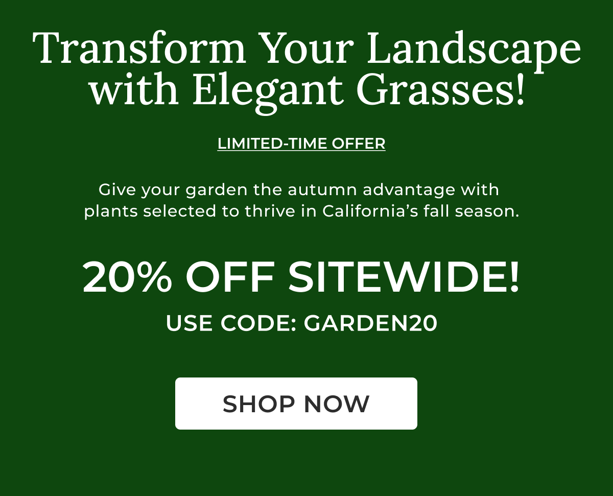 20% OFF SITEWIDE! USE CODE: GARDEN20  SHOP NOW