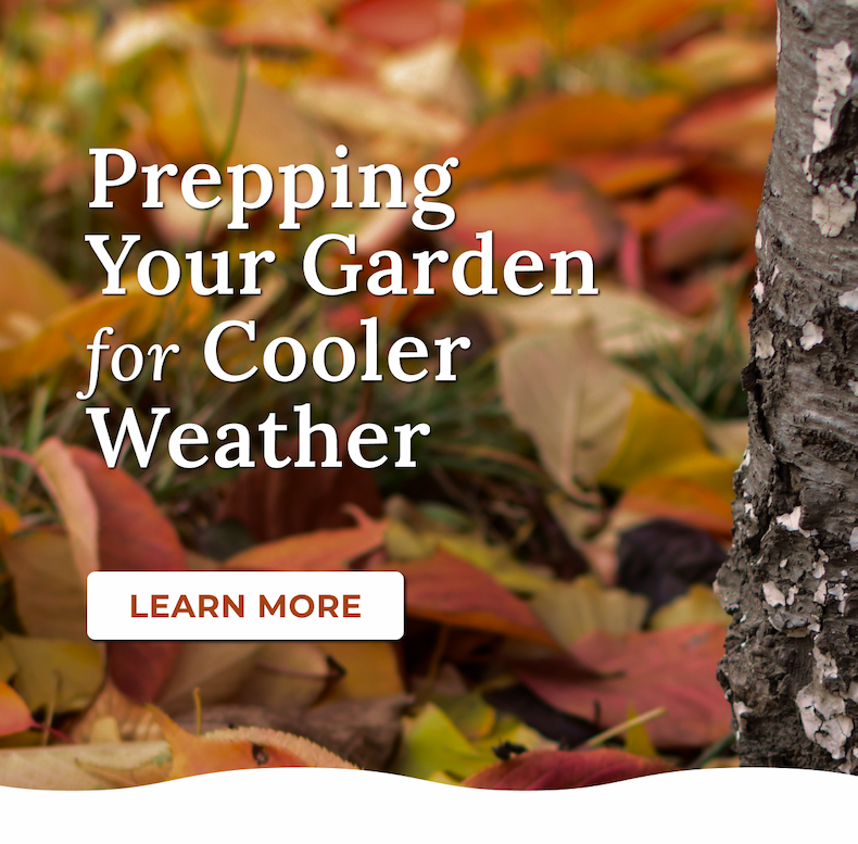 Prepping Your Garden for Cooler Weather