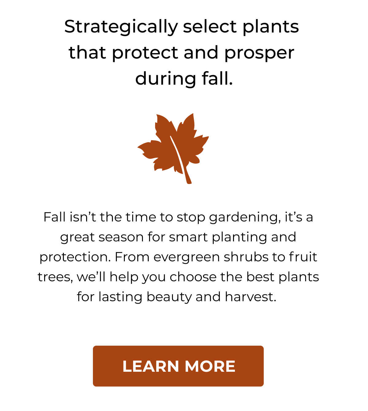 Strategically select plants that protect and prosper during fall.
