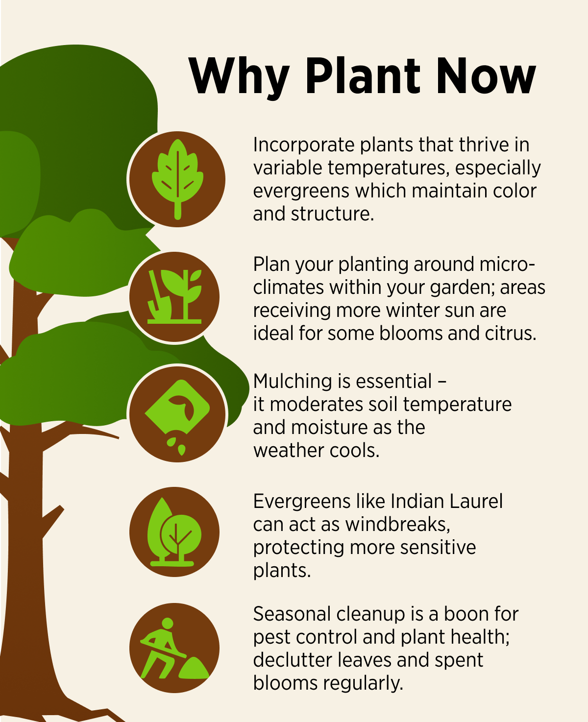 Why Plant Now