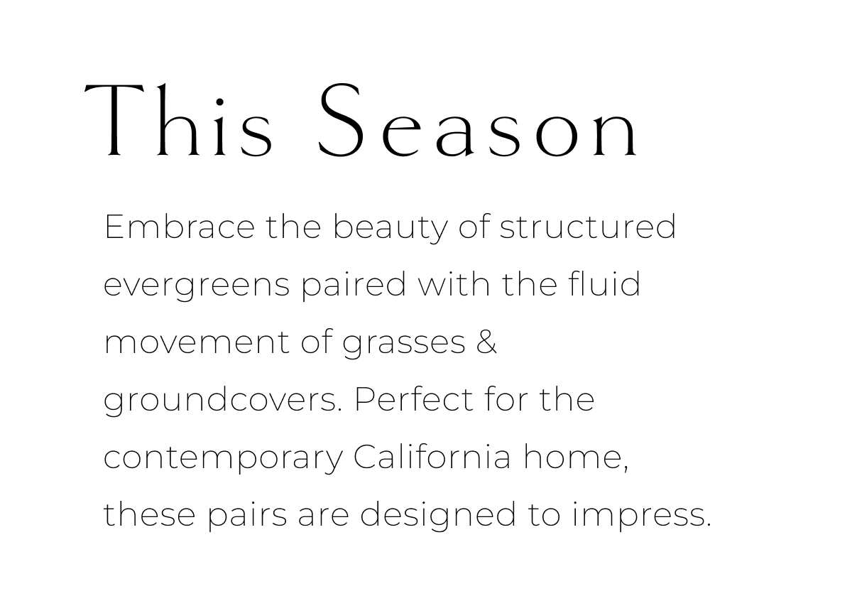 This Season  Embrace the beauty of structured evergreens paired with the fluid movement of grasses & groundcovers. Perfect for the contemporary California home, these pairs are designed to impress.