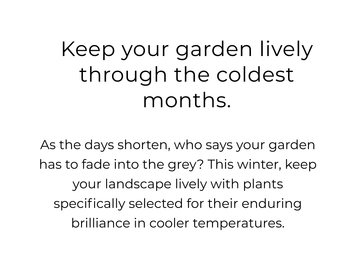 This Season  Embrace the beauty of structured evergreens paired with the fluid movement of grasses & groundcovers. Perfect for the contemporary California home, these pairs are designed to impress.