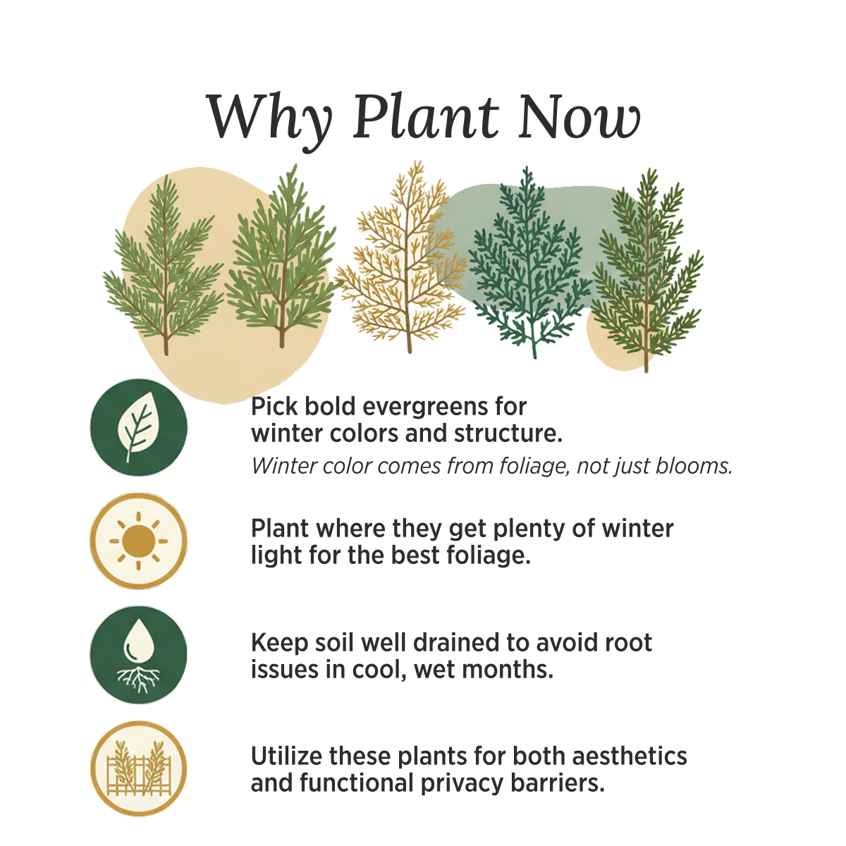 Why Plant Now