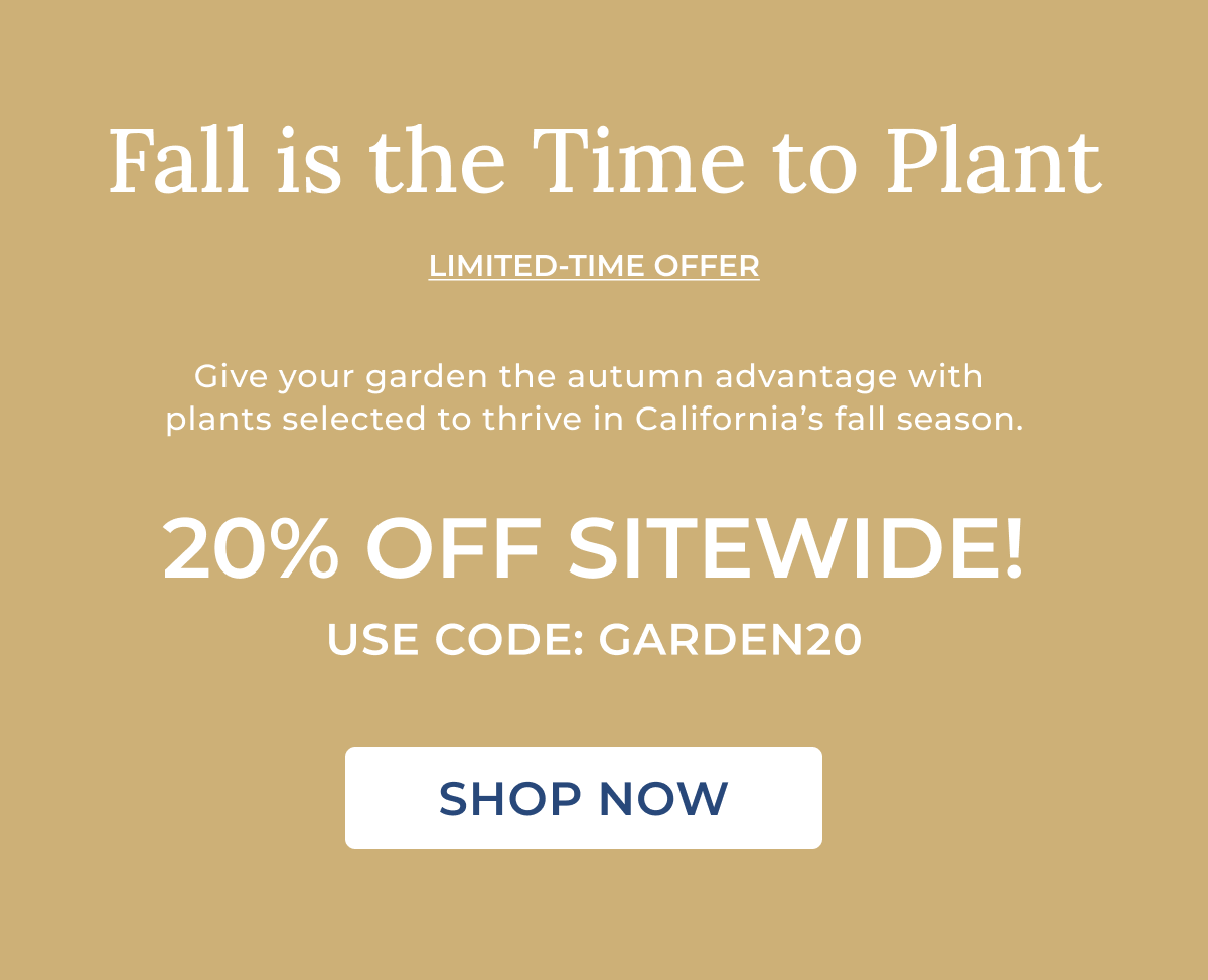 20% OFF SITEWIDE! USE CODE: GARDEN20  SHOP NOW