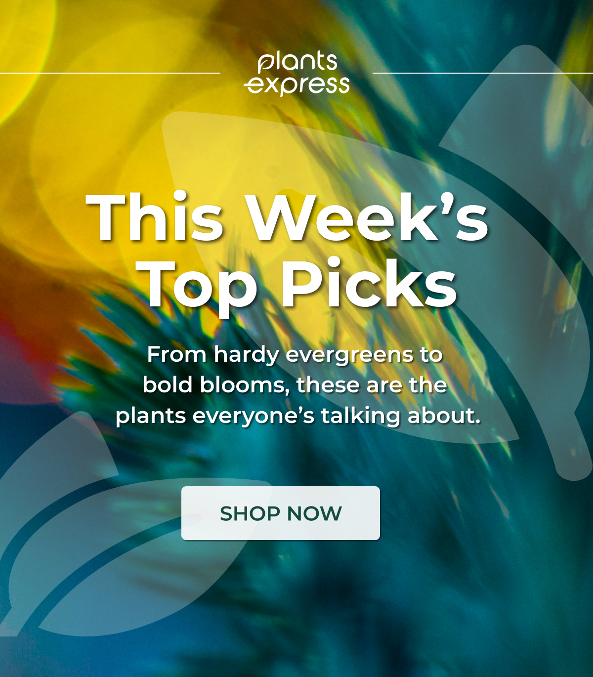 This Week's Top Picks