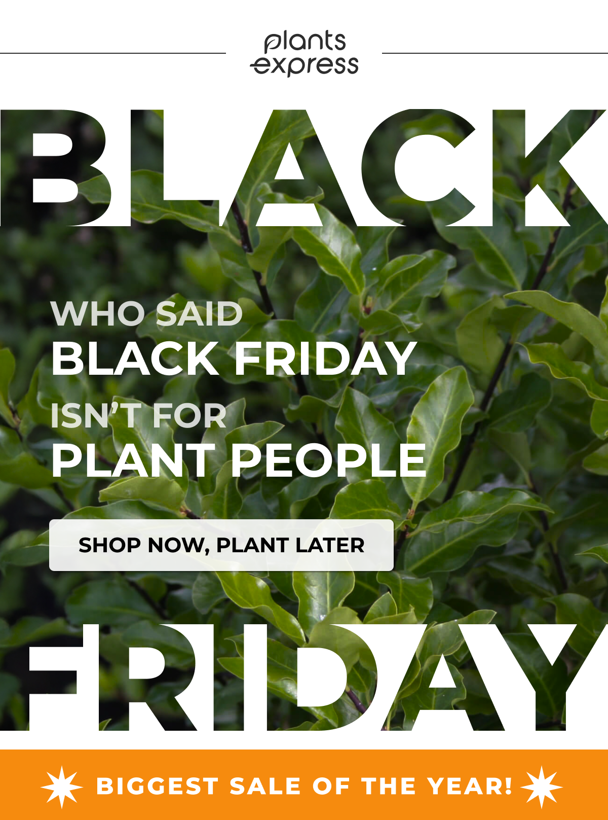 WHO SAID BLACK FRIDAY ISN'T FOR PLANT PEOPLE