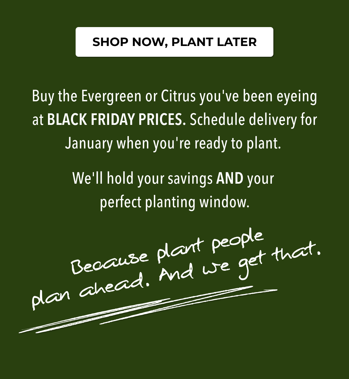 SHOP NOW, PLANT LATER  Buy the Evergreen or Citrus you've been eyeing at BLACK FRIDAY PRICES. Schedule delivery for January when you're ready to plant.