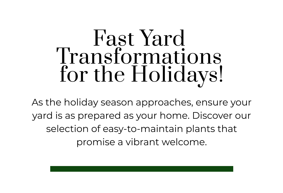 Fast Yard Transformations for the Holidays!
