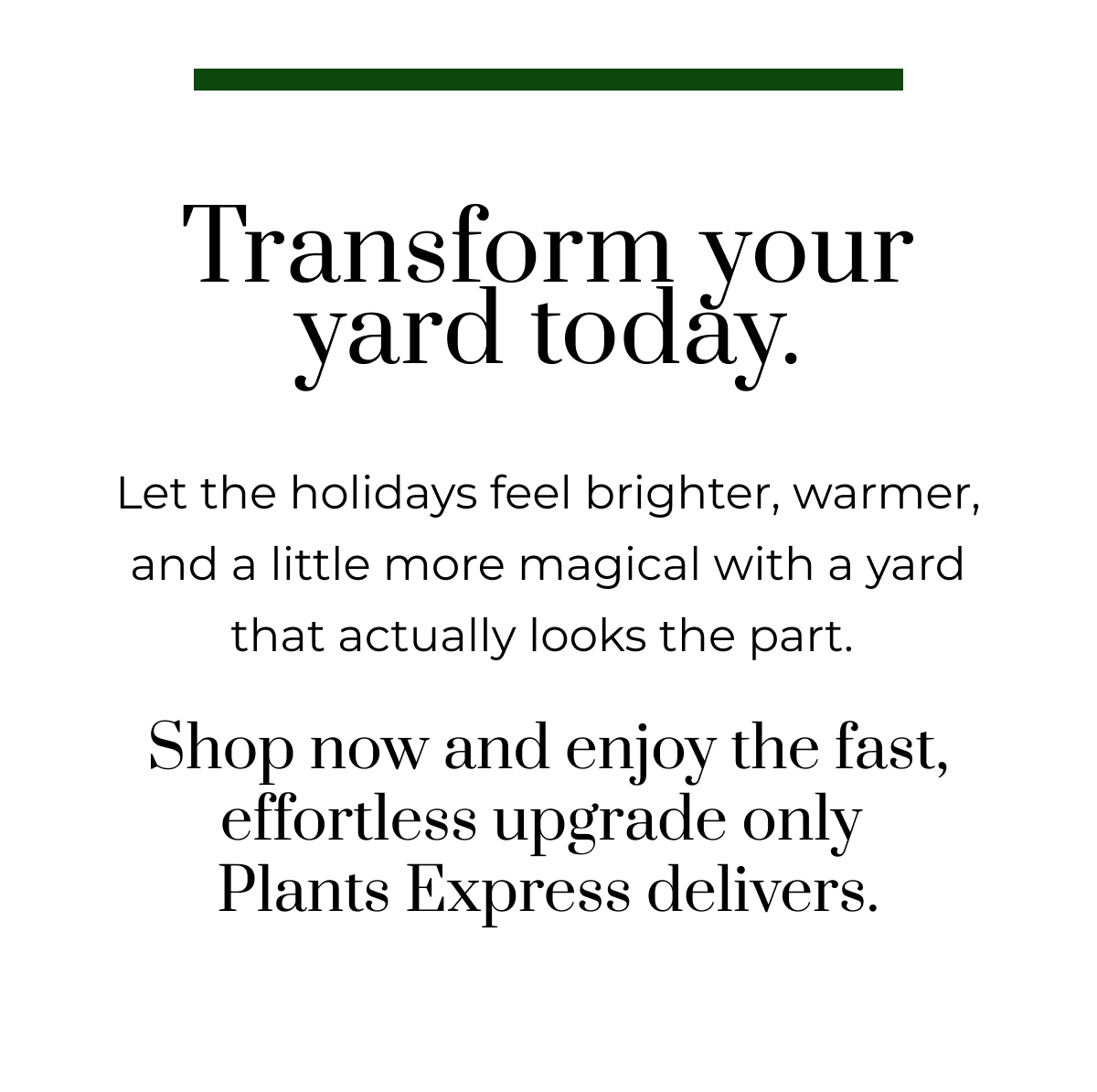 Transform your yard today.