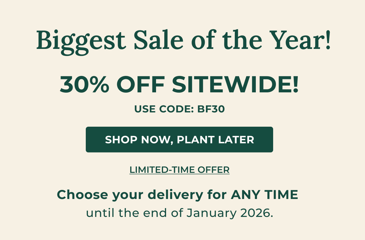 Biggest Sale of the Year! 30% OFF SITEWIDE!
