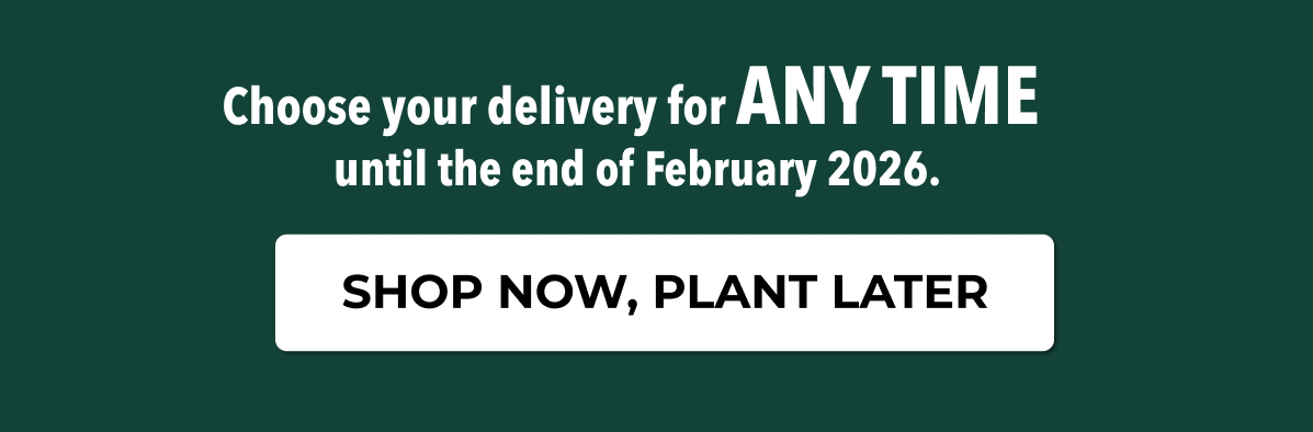 Choose your delivery for ANYTIME until the end of February 2026.
