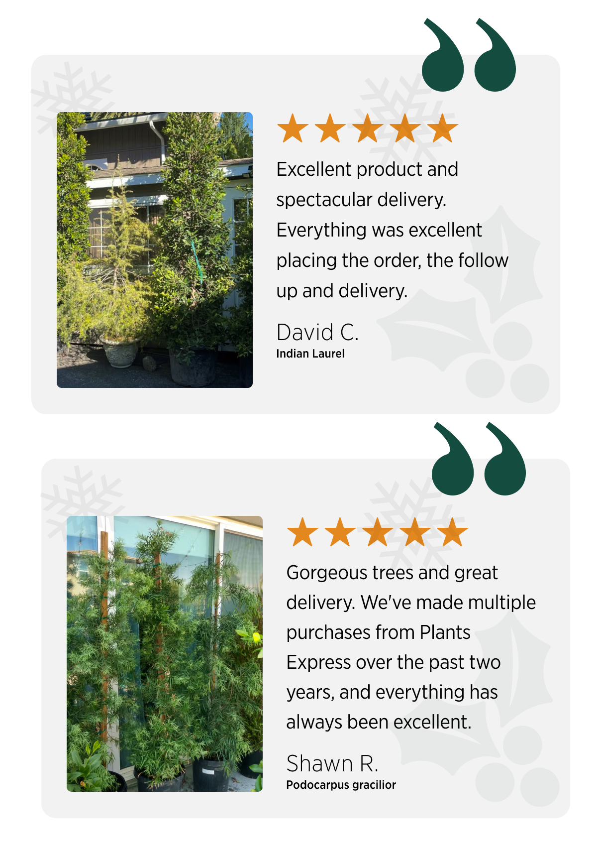 Customer testimonial 