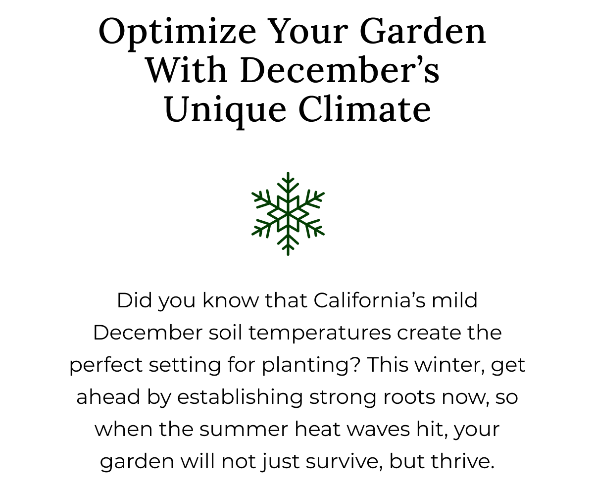 Wrap Your Season in Savings with offers that make upgrading your yard a no-brainer.