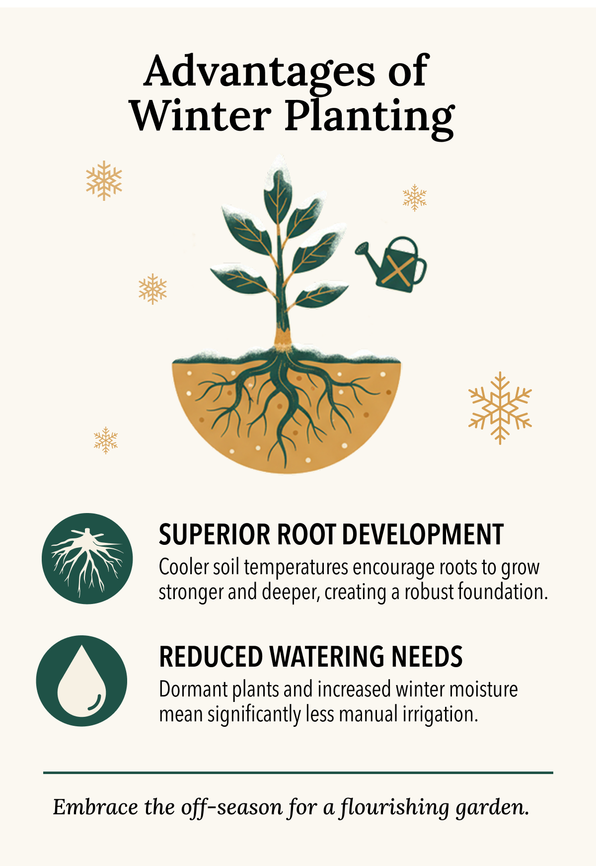Optimize Your Garden With December's Unique Climate