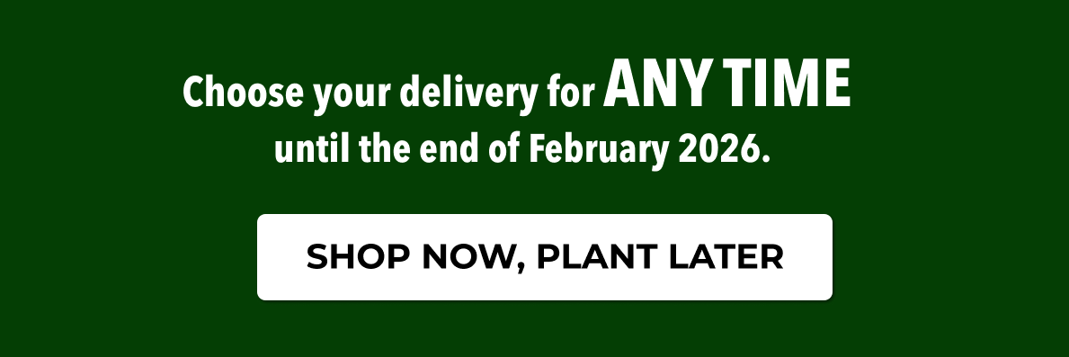 Choose your delivery for ANYTIME until the end of February 2026.