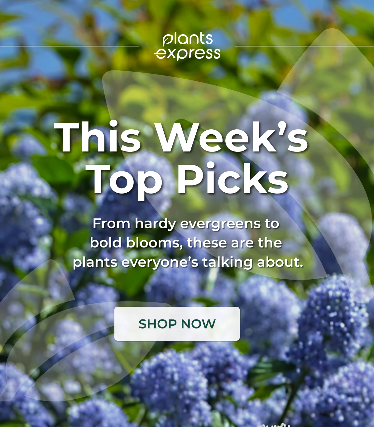 This Week's Top Picks