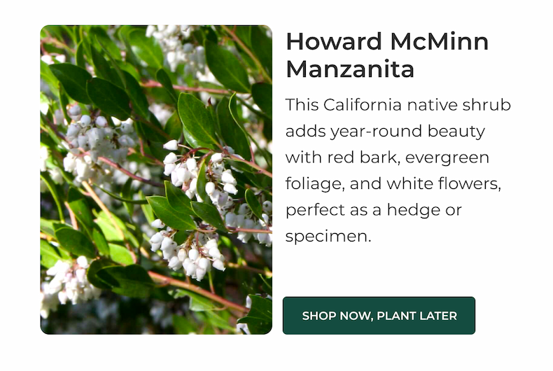 Howard McMinn Manzanita