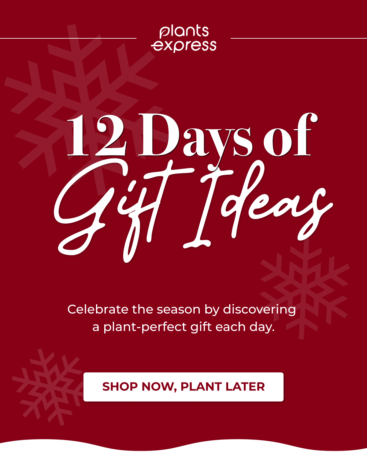 12 Days of Git Ideas - Celebrate the season by discovering a plant-perfect gift each day.