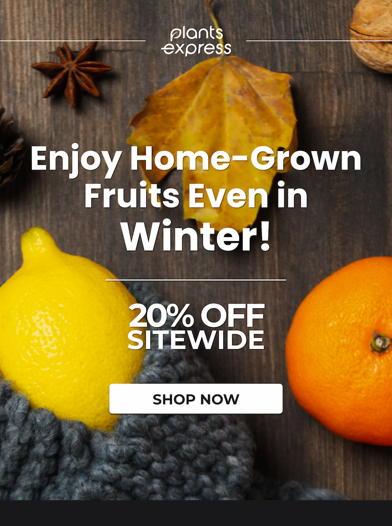 Enjoy Home-Grown Fruits Even in Winter!