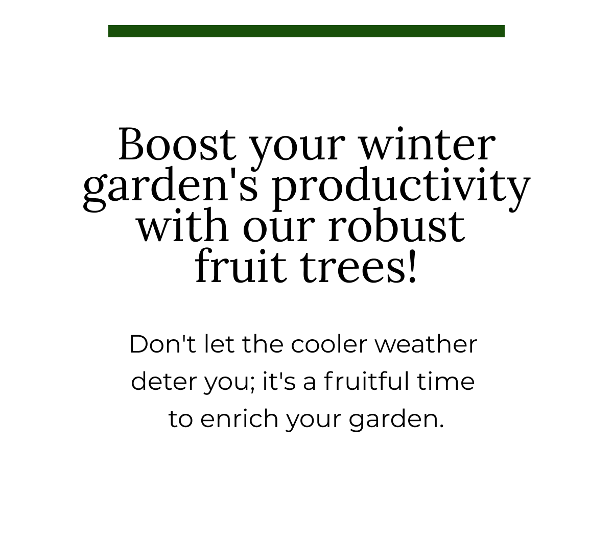 Boost your winter garden's productivity with our robust fruit trees!