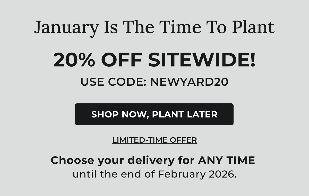 January Is The Time To Plant  20% OFF SITEWIDE! USE CODE: NEWYARD20