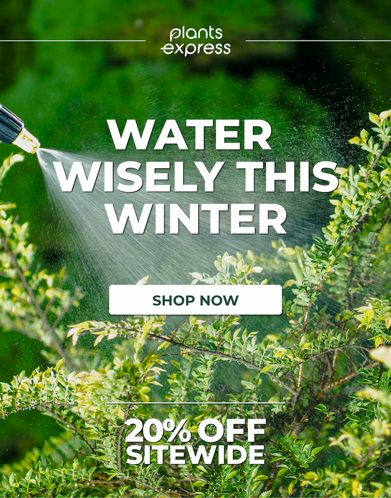 Enjoy Home-Grown Fruits Even in Winter!