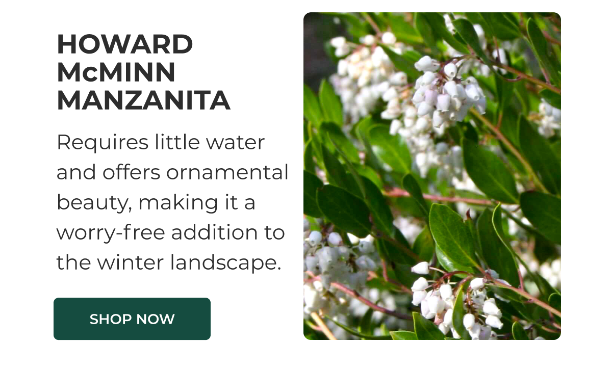 HOWARD MCMINN MANZANITA