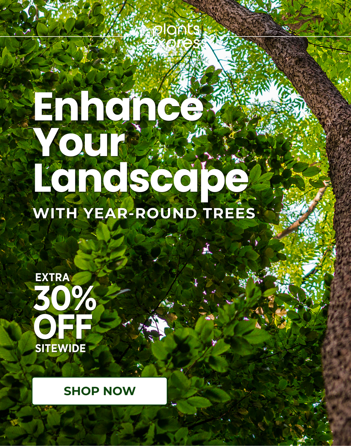 Enhance Your Landscape WITH YEAR-ROUND TREES•