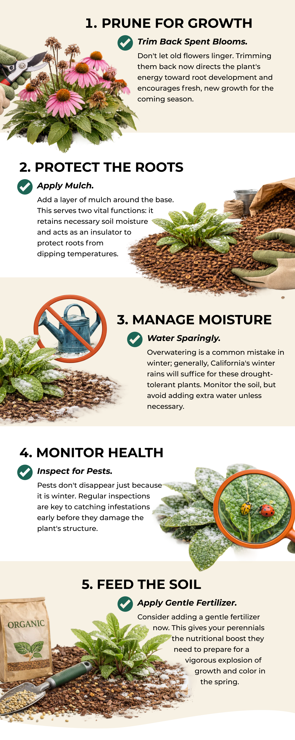 Once your perennials are established, winter is the time for active care. Follow these five steps to prep your garden for a vibrant spring.