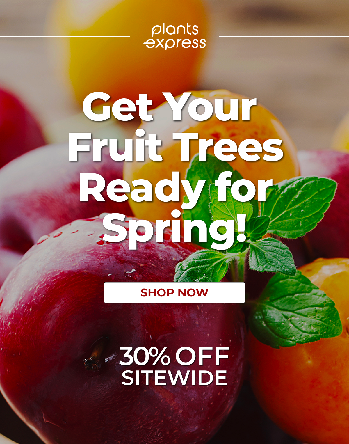 Get Your Fruit Trees Ready for Spring!