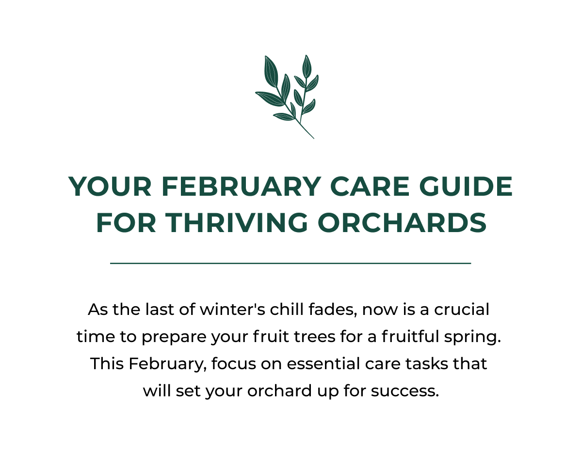 YOUR FEBRUARY CARE GUIDE FOR THRIVING ORCHARDS