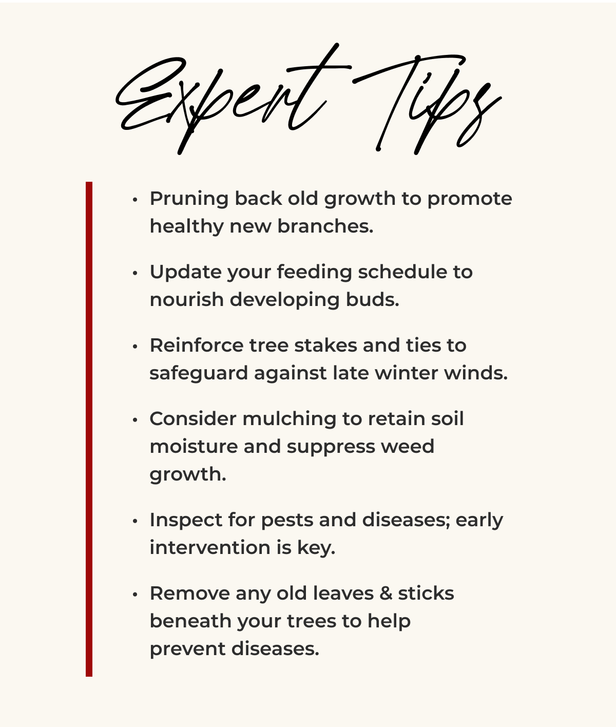 Expert Tips • Pruning back old growth to promote healthy new branches.