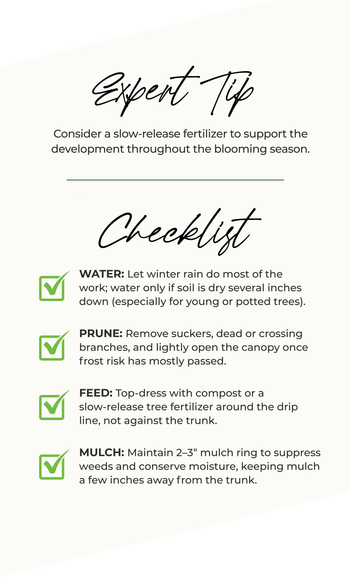 Expert T Consider a slow-release fertilizer to support the development throughout the blooming season.