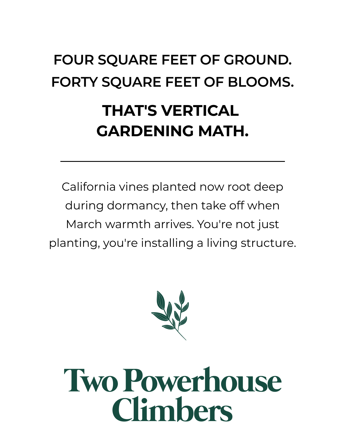 FOUR SQUARE FEET OF GROUND. FORTY SQUARE FEET OF BLOOMS.  THAT'S VERTICAL GARDENING MATH.