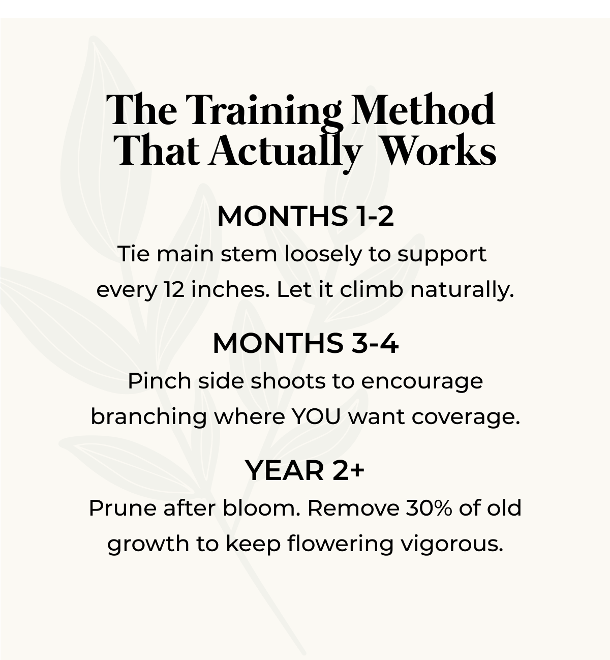 The Training Method That Actually Works