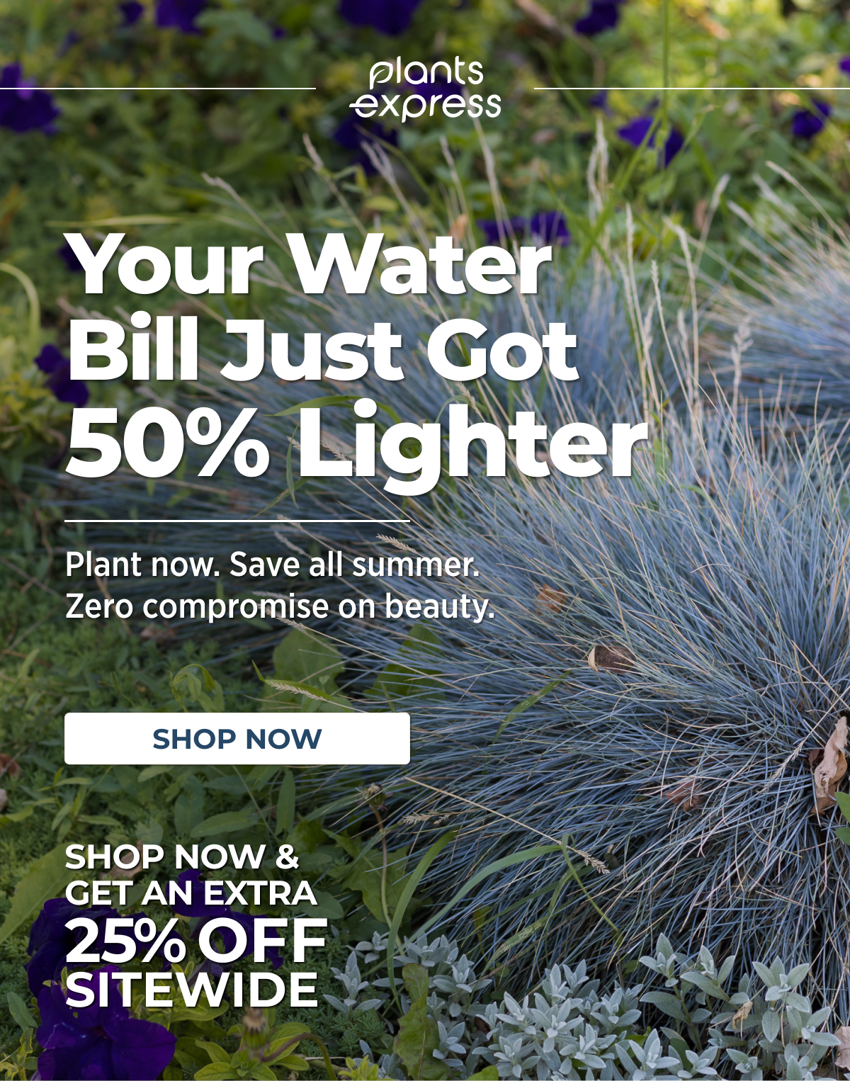 Your Water  Bill Just Got  50% Lighter