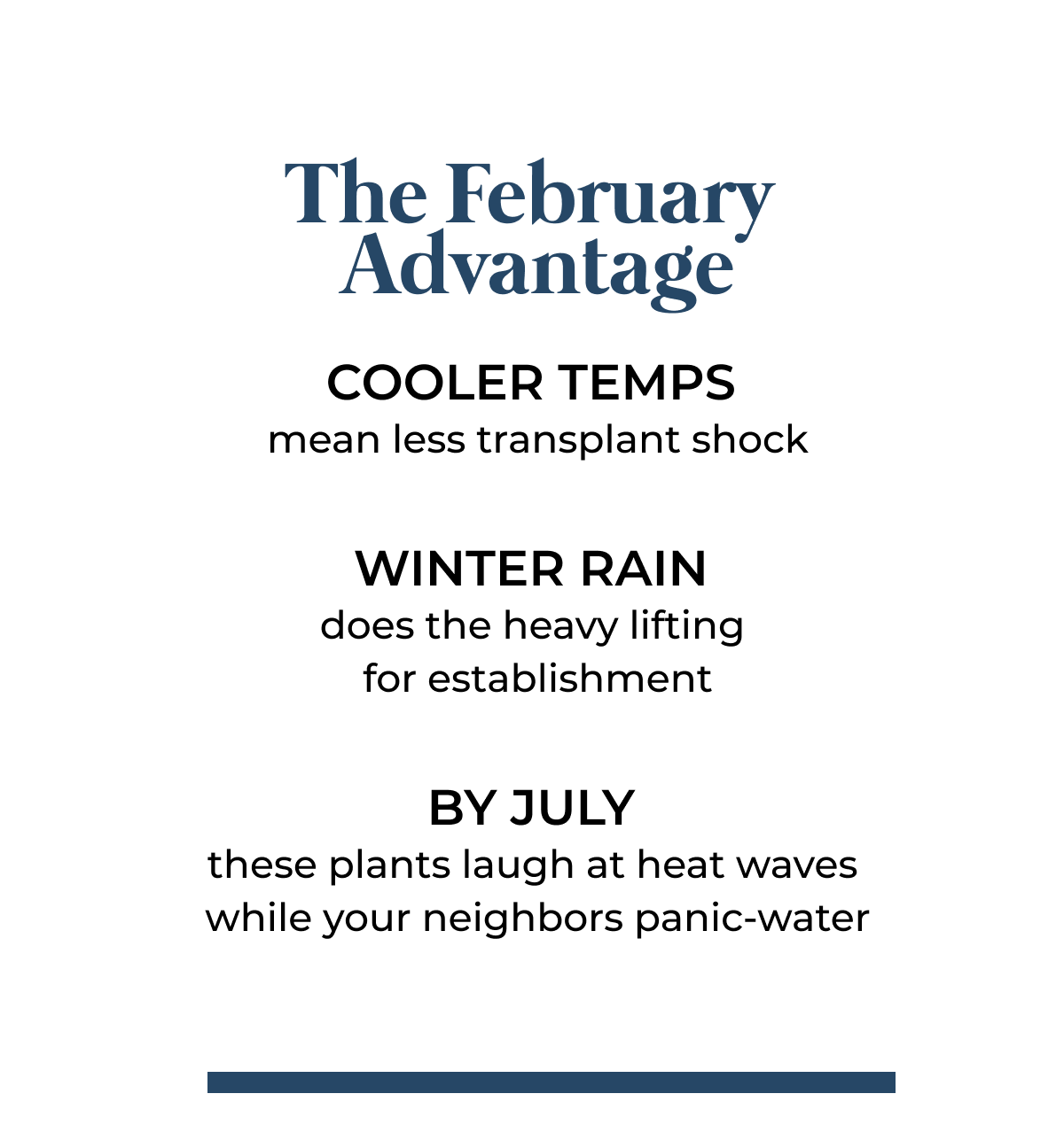 The February Advantage