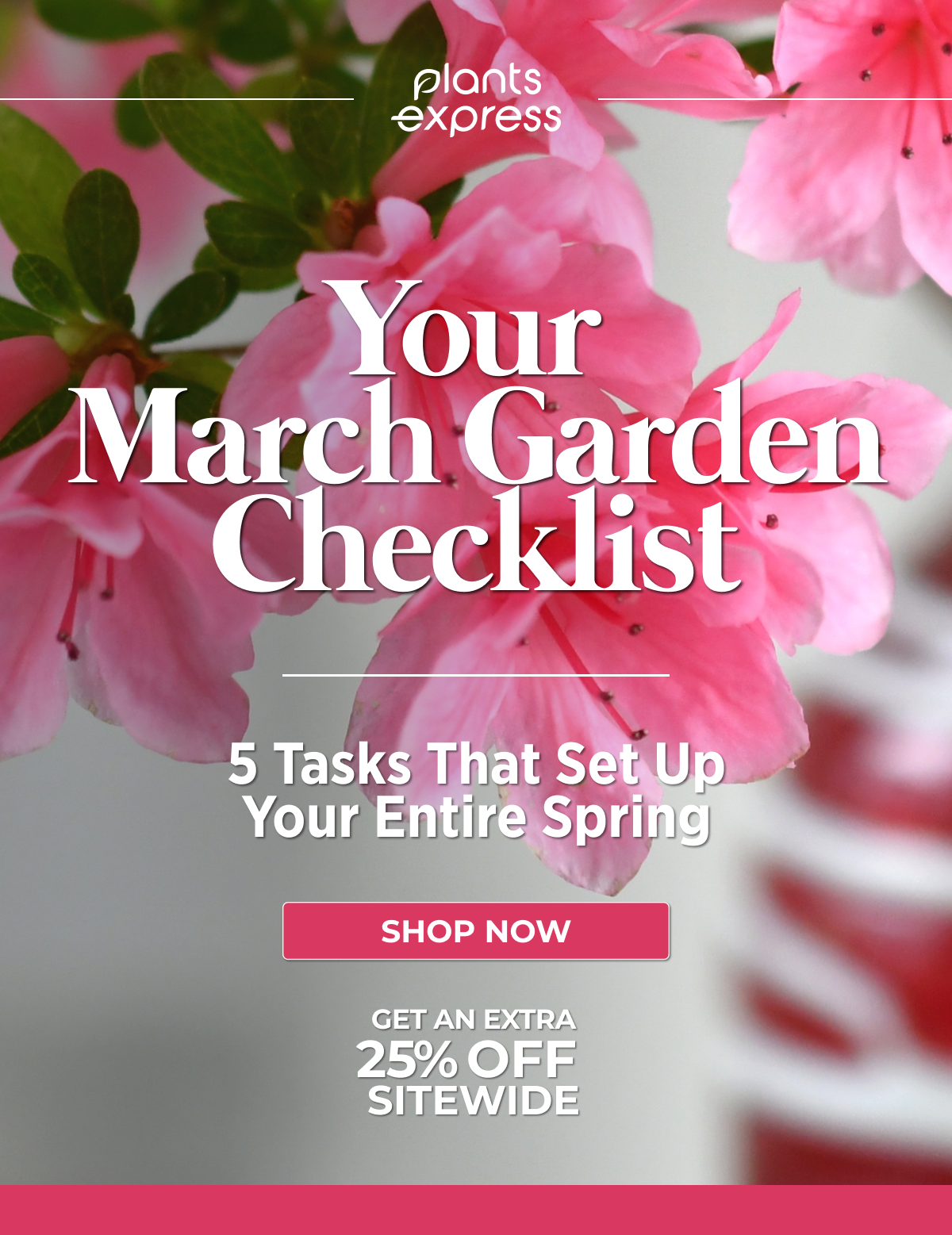 Your March Garden Checklist  5 Tasks That Set Up Your Entire Spring