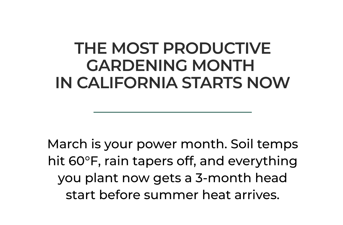 THE MOST PRODUCTIVE GARDENING MONTH IN CALIFORNIA STARTS NOW