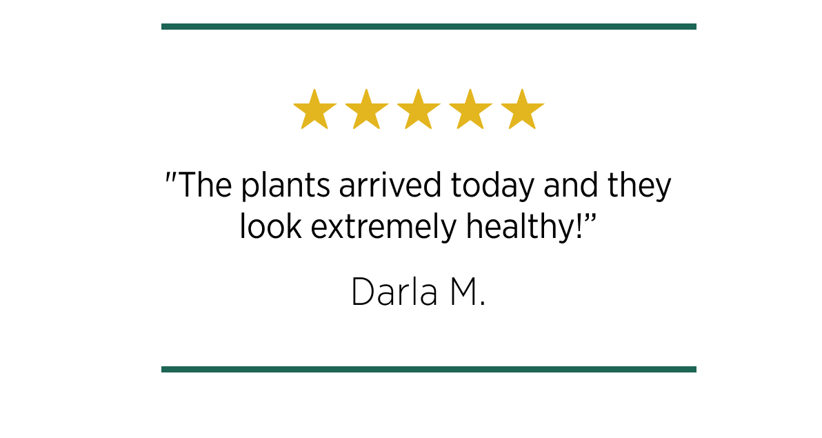 "The plants arrived today and they look extremely healthy!"